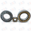 Cylindrical Roller Bearing